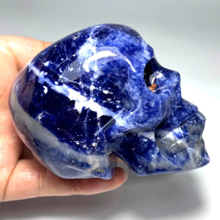 Large hand-carved Sodalite crystal skull with deep blue and white marbling, perfect for healing and unique home decor.
