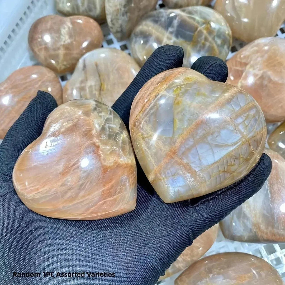 Two polished, peachy-orange Orange Moonstone heart crystals held in a gloved hand by Crystal Destiny.