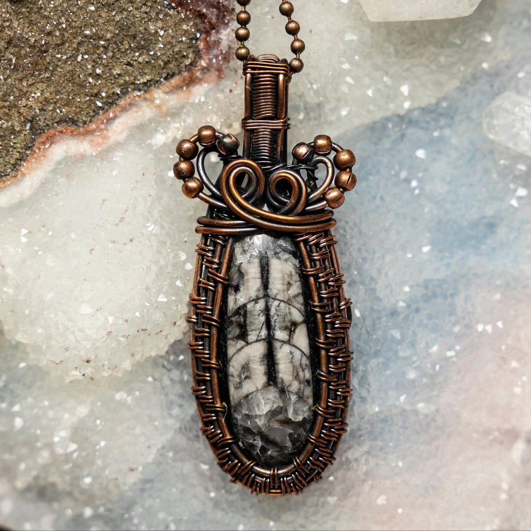 Orthoceras Fossil Wire Wrap Crystal Pendant #3: Black and grey fossil in handcrafted copper wire, grounding energy.