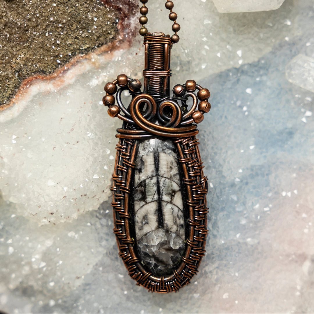 Orthoceras Fossil Wire Wrap Crystal Pendant #3-Wire Wraps-Crystal Destiny-Orthoceras-2.75"-Crystal Destiny
