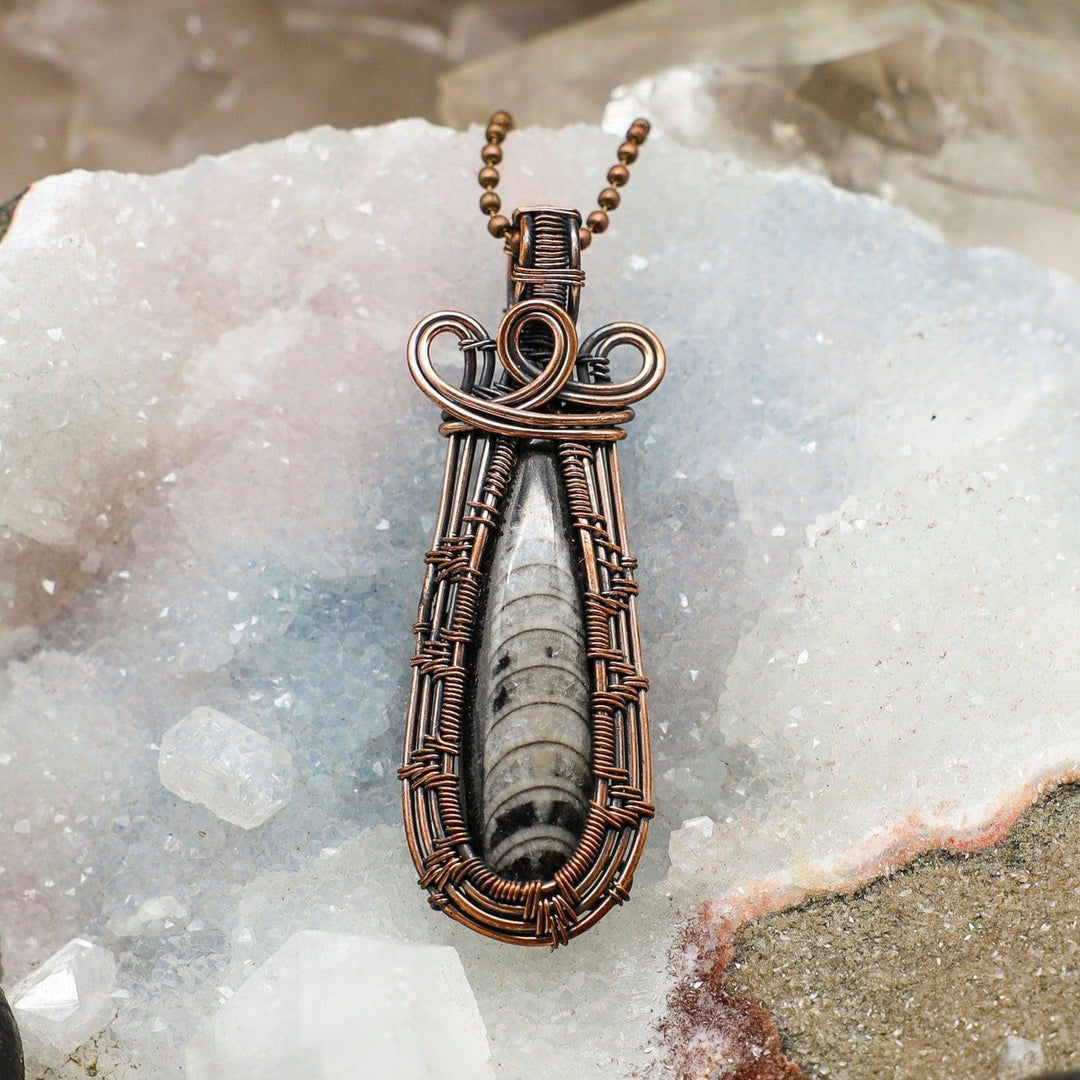 Orthoceras Fossil Wire Wrap Pendant 3 Inch-Wire Wraps-Crystal Destiny-Orthoceras Fossil-3"-Crystal Destiny