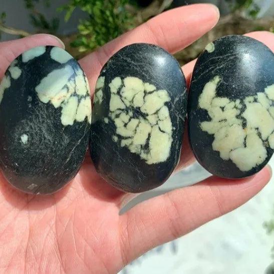 Three polished Peony Stone palm stones featuring unique cream and green floral patterns on a smooth, dark jasper base.