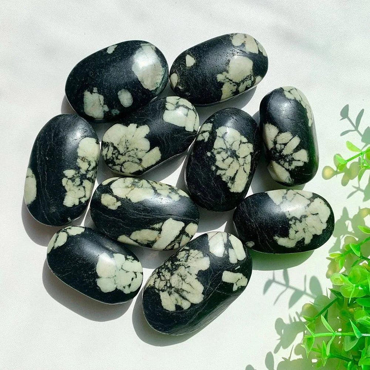 Polished Peony Stone Jasper palm stones with unique black and cream floral patterns for grounding and heart chakra healing.