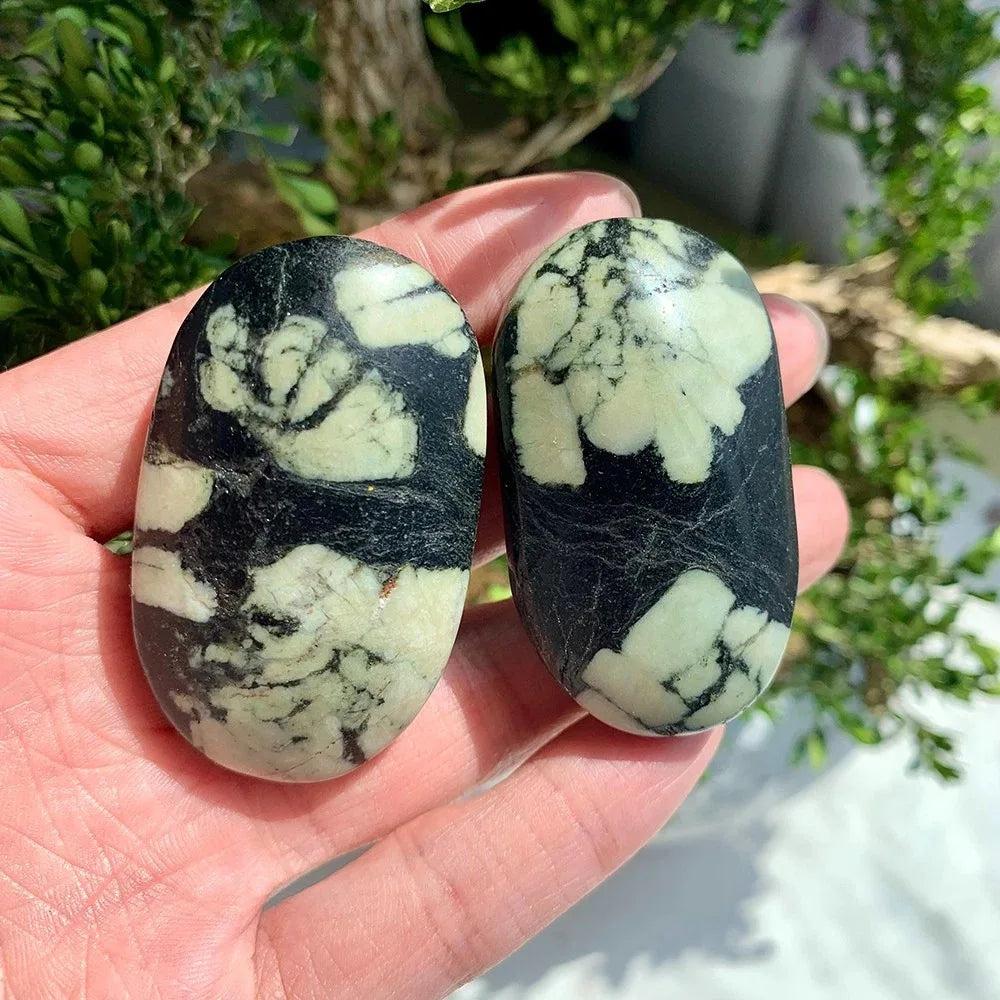 Polished Peony Stone Jasper palm stones featuring unique black and cream floral patterns for grounding and tranquility.