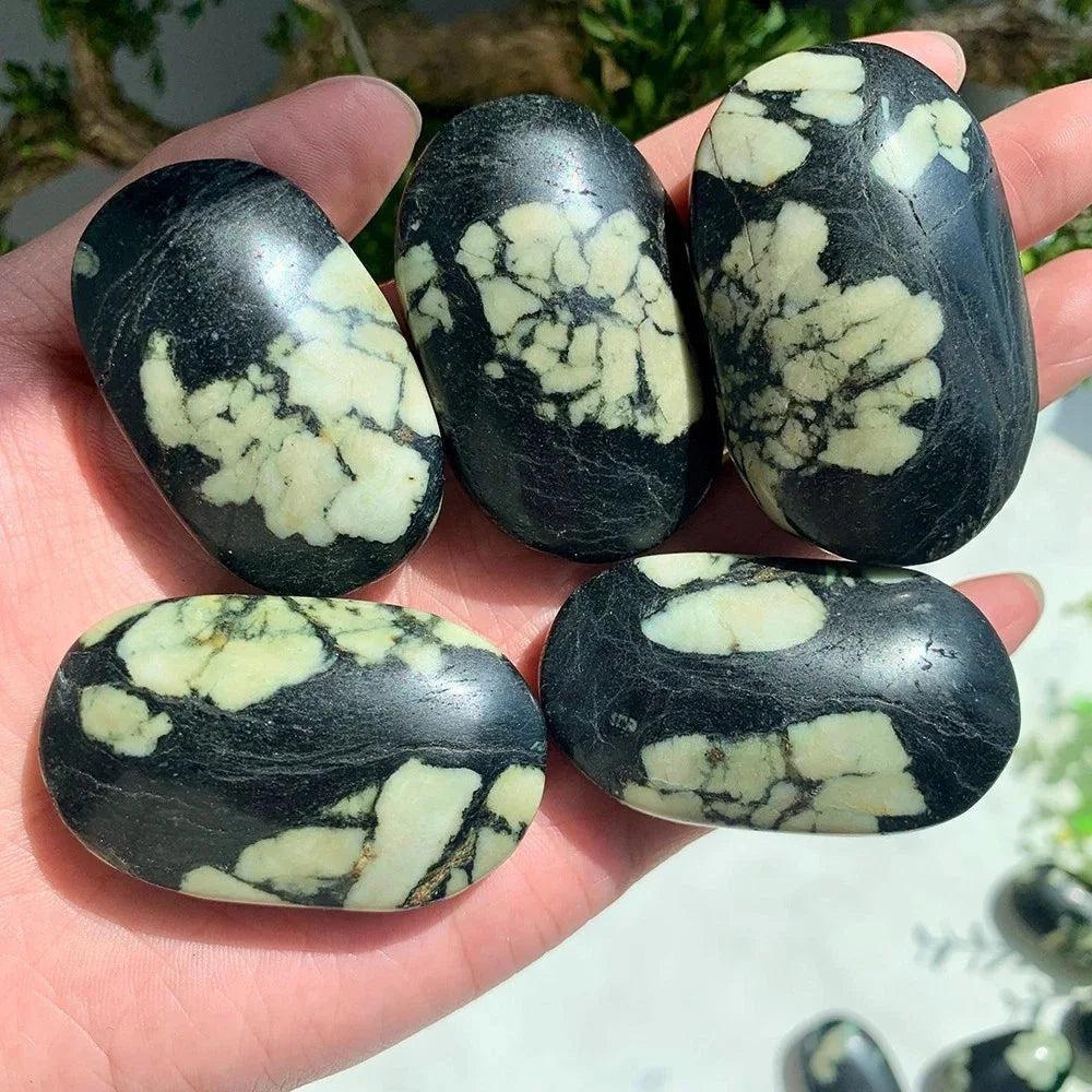 Polished Peony Stone Jasper palm stones featuring unique black and cream floral patterns for grounding and tranquility.