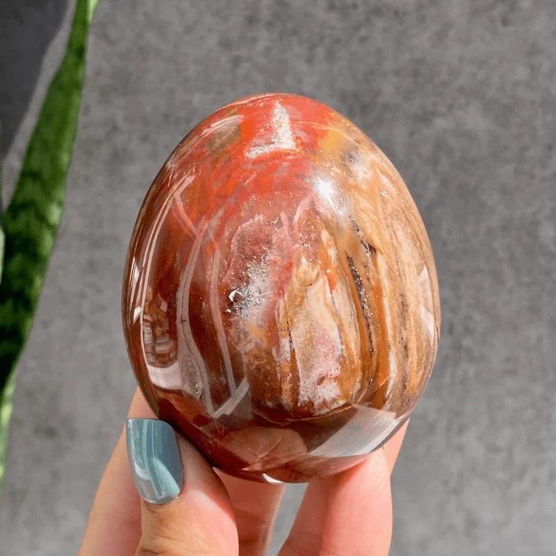 Polished petrified wood crystal egg stone in warm brown and red tones for grounding.