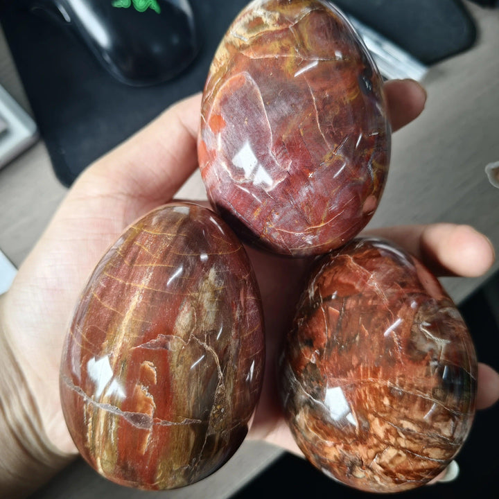 Polished petrified wood crystal egg stones in warm brown and red tones for grounding.