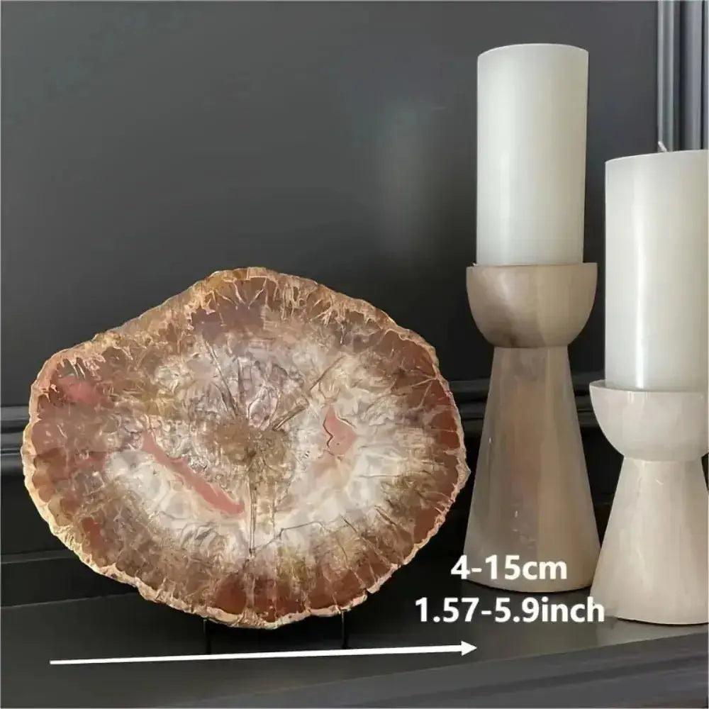 Polished Petrified Wood Crystal Slice from Crystal Destiny, showcasing natural tree rings in earthy brown, white, and pink tones.