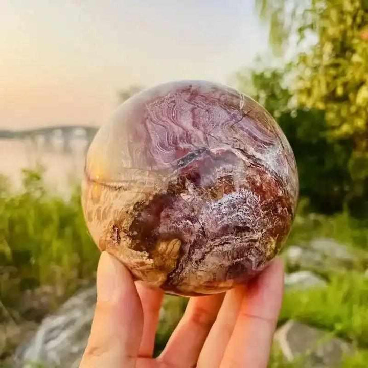 Polished petrified wood sphere with swirling brown and tan grain, perfect for Root Chakra grounding and home decor.