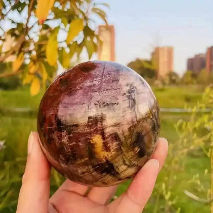 Polished petrified wood sphere with swirling brown and gray grain, perfect for Root Chakra grounding and steady growth.
