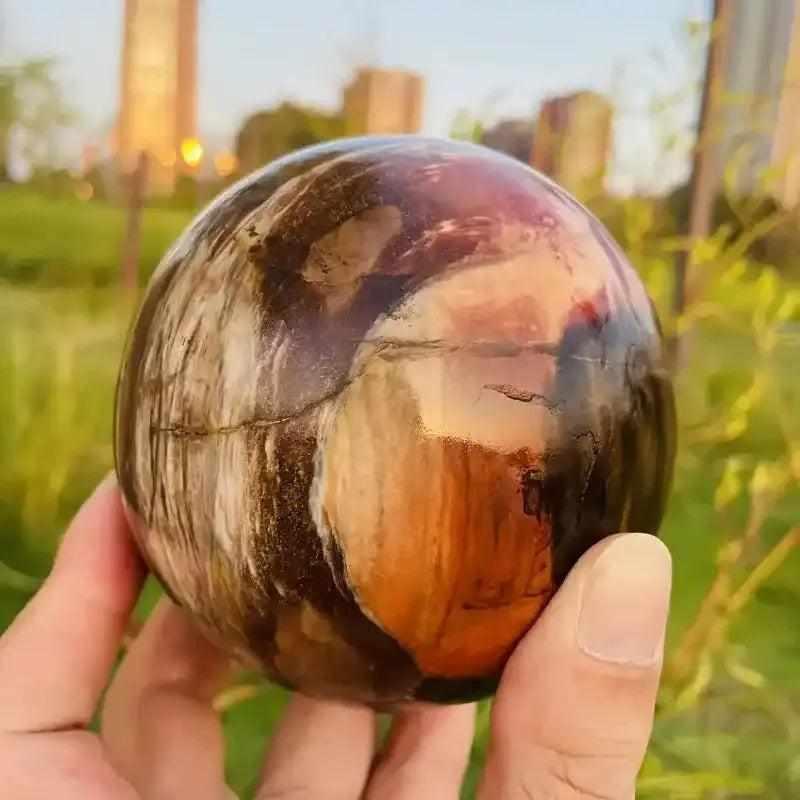 Polished petrified wood sphere with swirling brown and tan grain, perfect for Root Chakra grounding and steady growth.