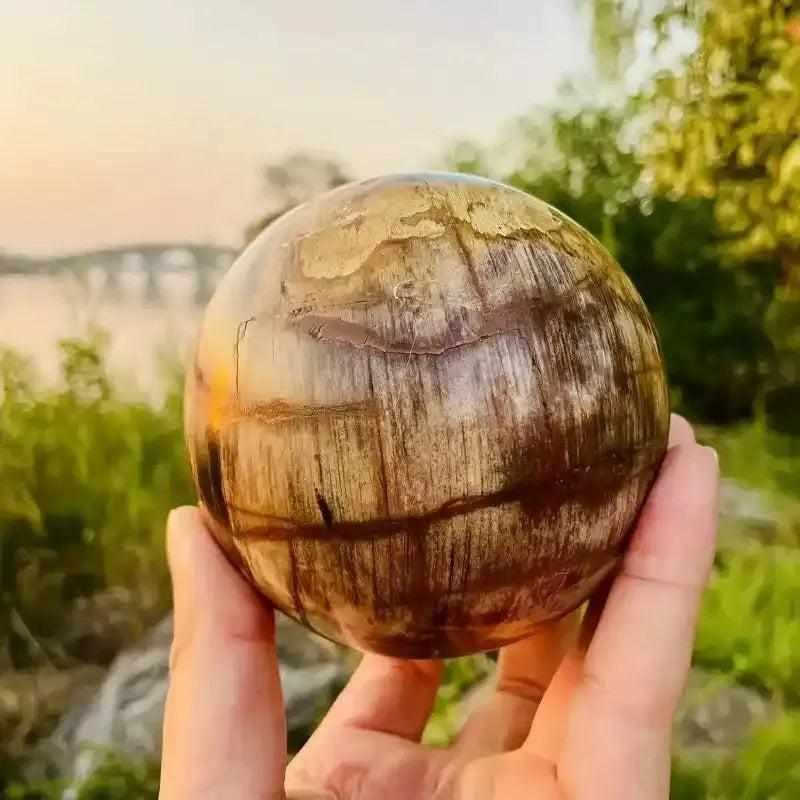 Polished petrified wood sphere with swirling brown and gray grain, perfect for Root Chakra grounding and steady growth.