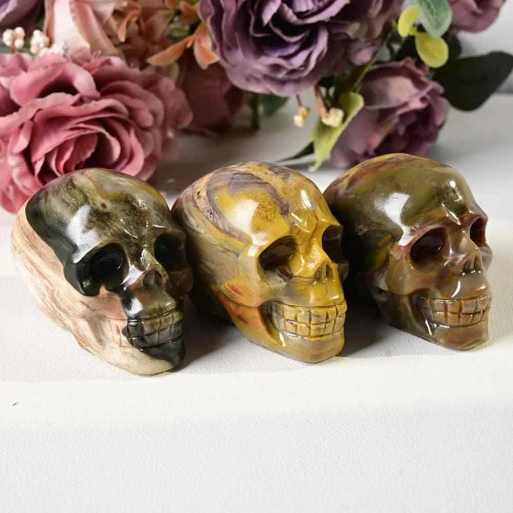 Three 60mm petrified wood skull carvings with warm brown and tan grain, perfect for root chakra grounding and decor.