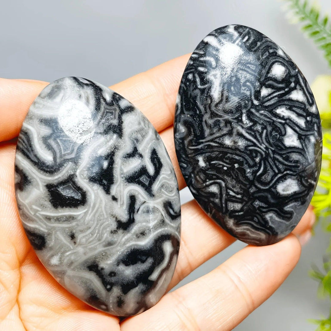 Polished Picasso Jasper Crystal Palm Stones with grounding black and grey abstract patterns.