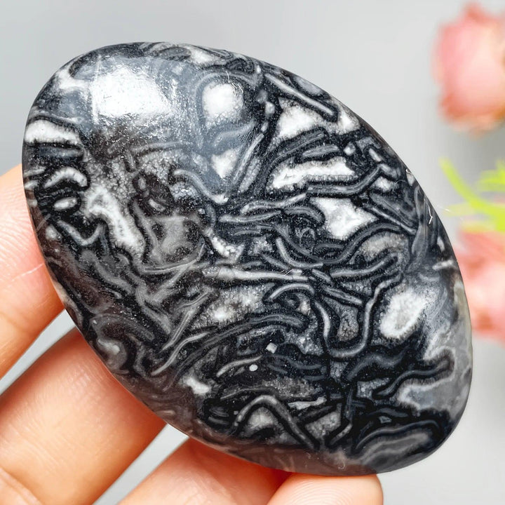 Polished Picasso Jasper Crystal Palm Stone with grounding black and grey abstract patterns.