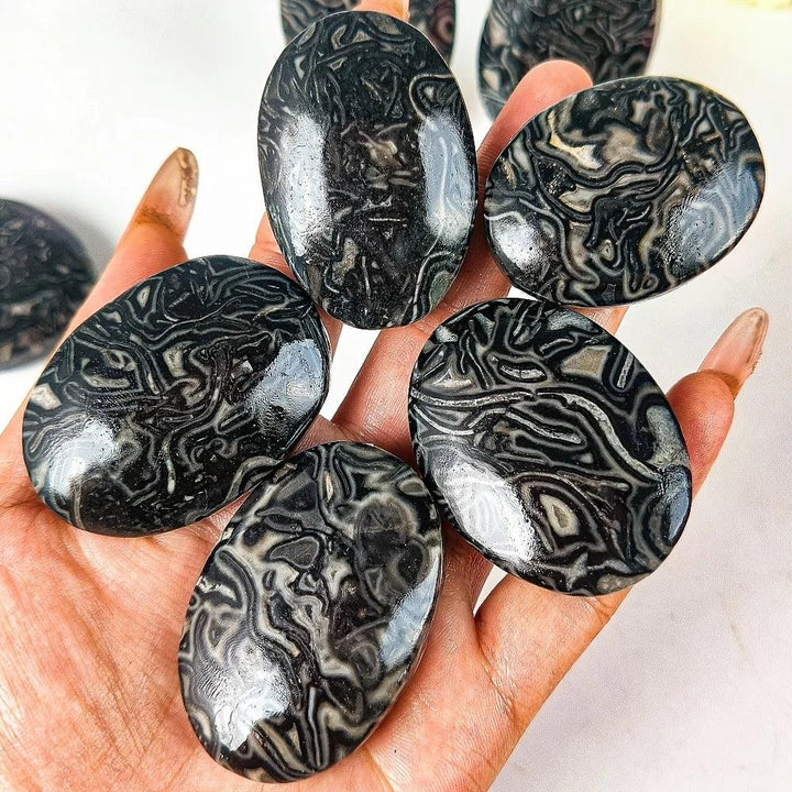 Polished Natural Dragon Patterned Picasso Stone palm stones with striking black and white striped crystal textures.