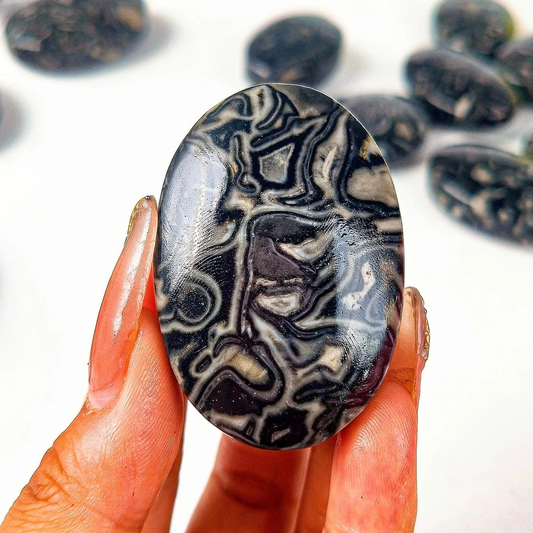 Polished Picasso stone palm ornament featuring a natural black and white dragon pattern for grounding and healing.
