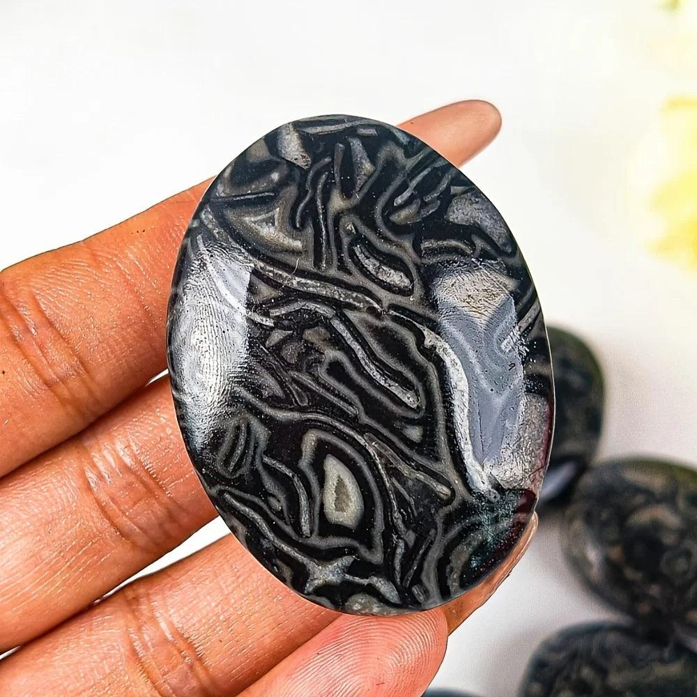 Polished Natural Dragon Patterned Picasso Stone palm stone with striking black and grey striped crystal textures.