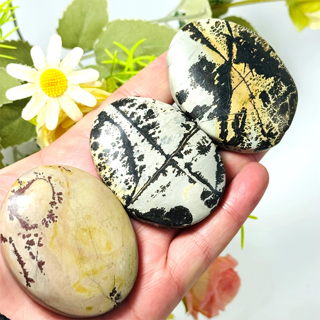 Natural Picture Jasper palm stone set, smooth oval crystals with unique earthy patterns for meditation and healing.