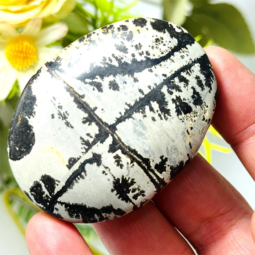 Natural Picture Jasper palm stone with unique black dendritic patterns, polished oval crystal for grounding and healing.