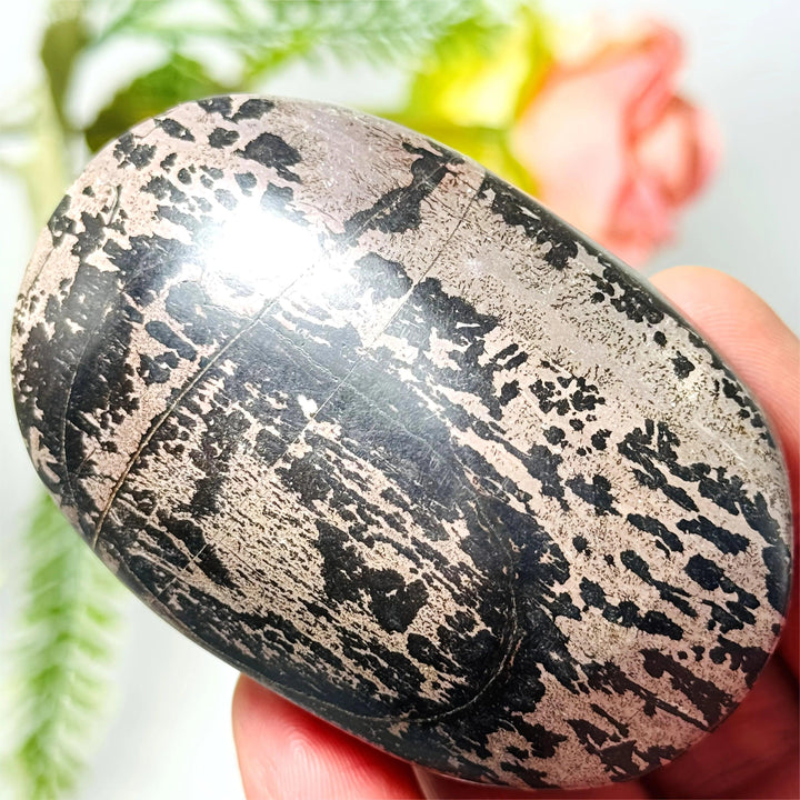 Polished oval natural Picture Jasper palm stone with unique black and grey patterns, perfect for grounding and healing.