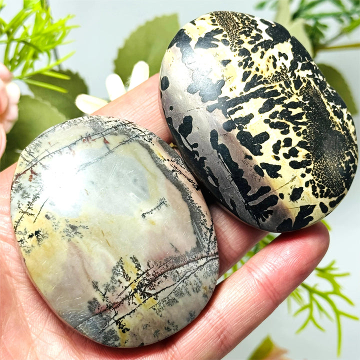 Two polished, oval Natural Picture Jasper palm stones featuring unique earthy patterns and grounding energy, 5-7cm size.