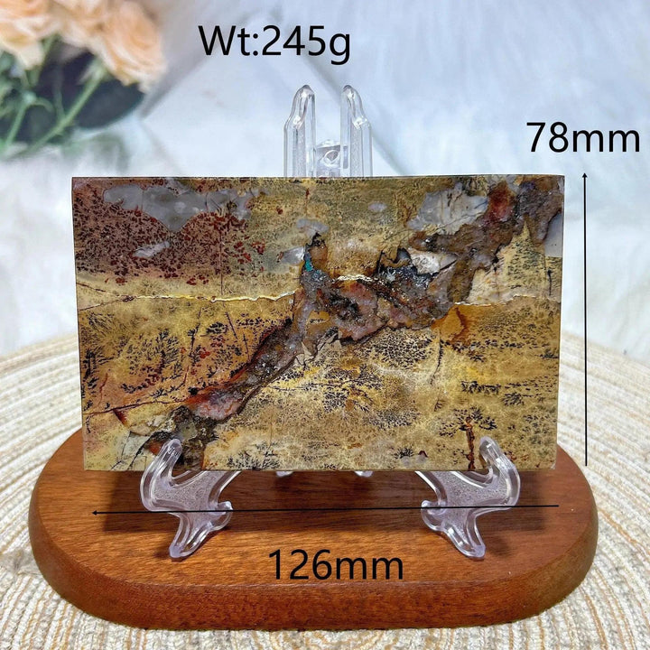 Picture Jasper crystal slab, 245g, 126x78mm, with earthy landscape patterns, from Crystal Destiny.