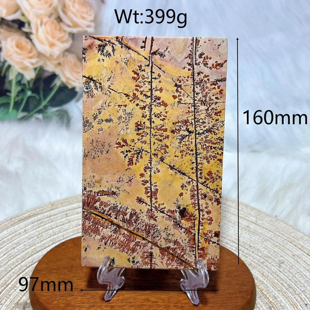 Polished Picture Jasper crystal slab from Crystal Destiny, featuring earthy yellow, brown, and black landscape patterns.