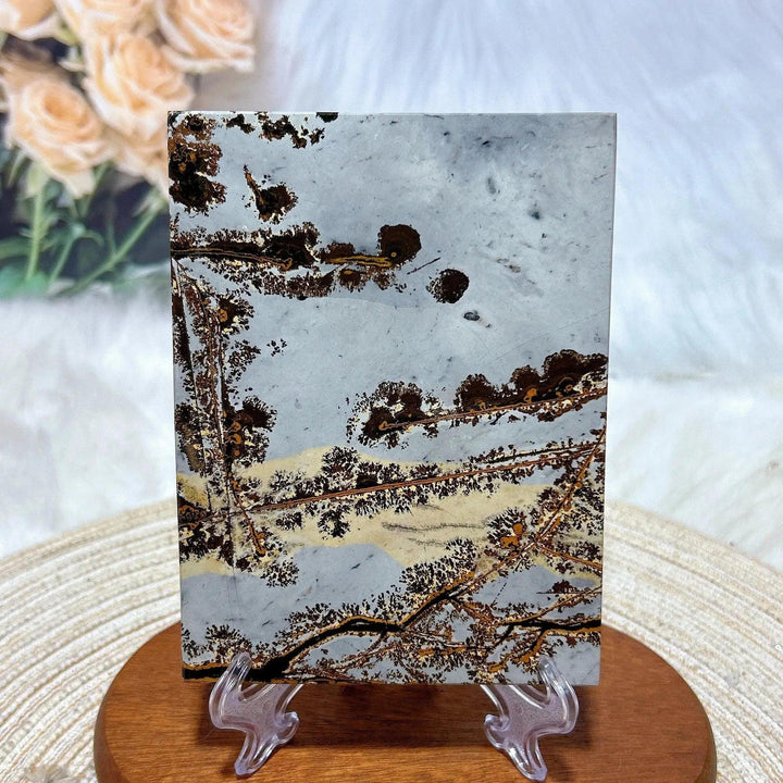 Polished Picture Jasper crystal slab from Crystal Destiny, featuring earthy brown and cream dendrites on a gray background.