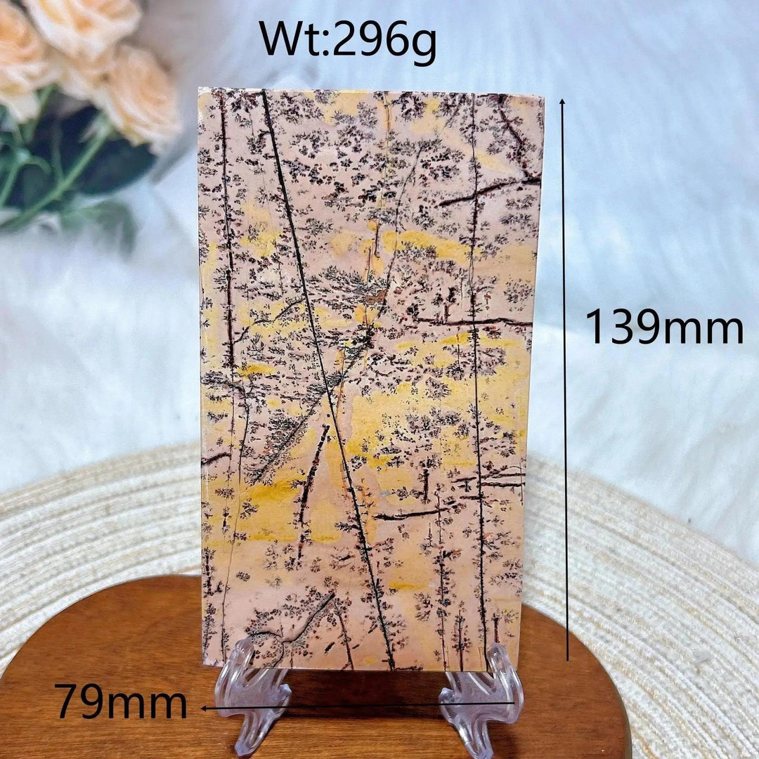 Polished Picture Jasper crystal slab from Crystal Destiny, featuring earthy yellow, beige, and black landscape patterns.