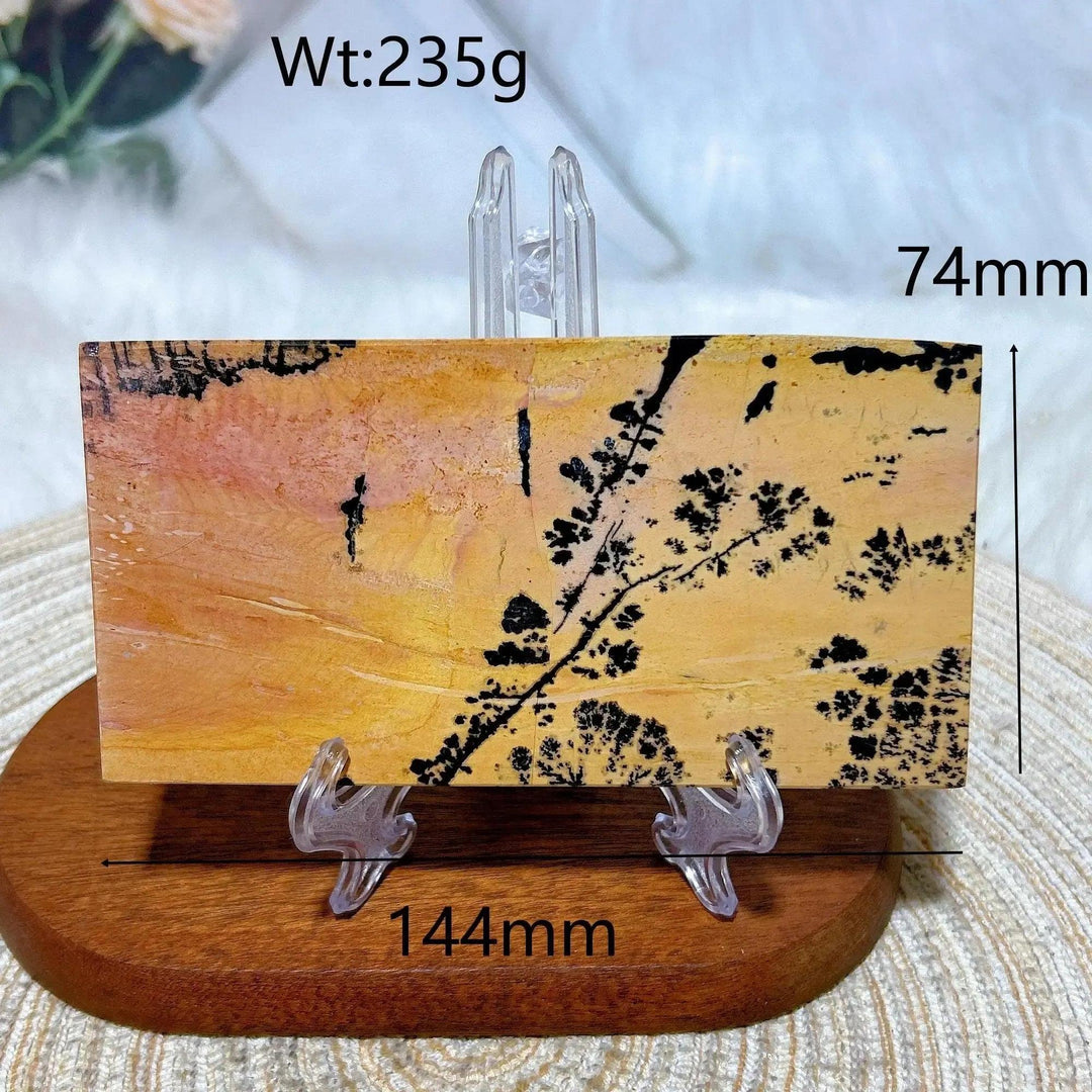 Polished Picture Jasper crystal slab from Crystal Destiny, featuring earthy tones and dendrite patterns.