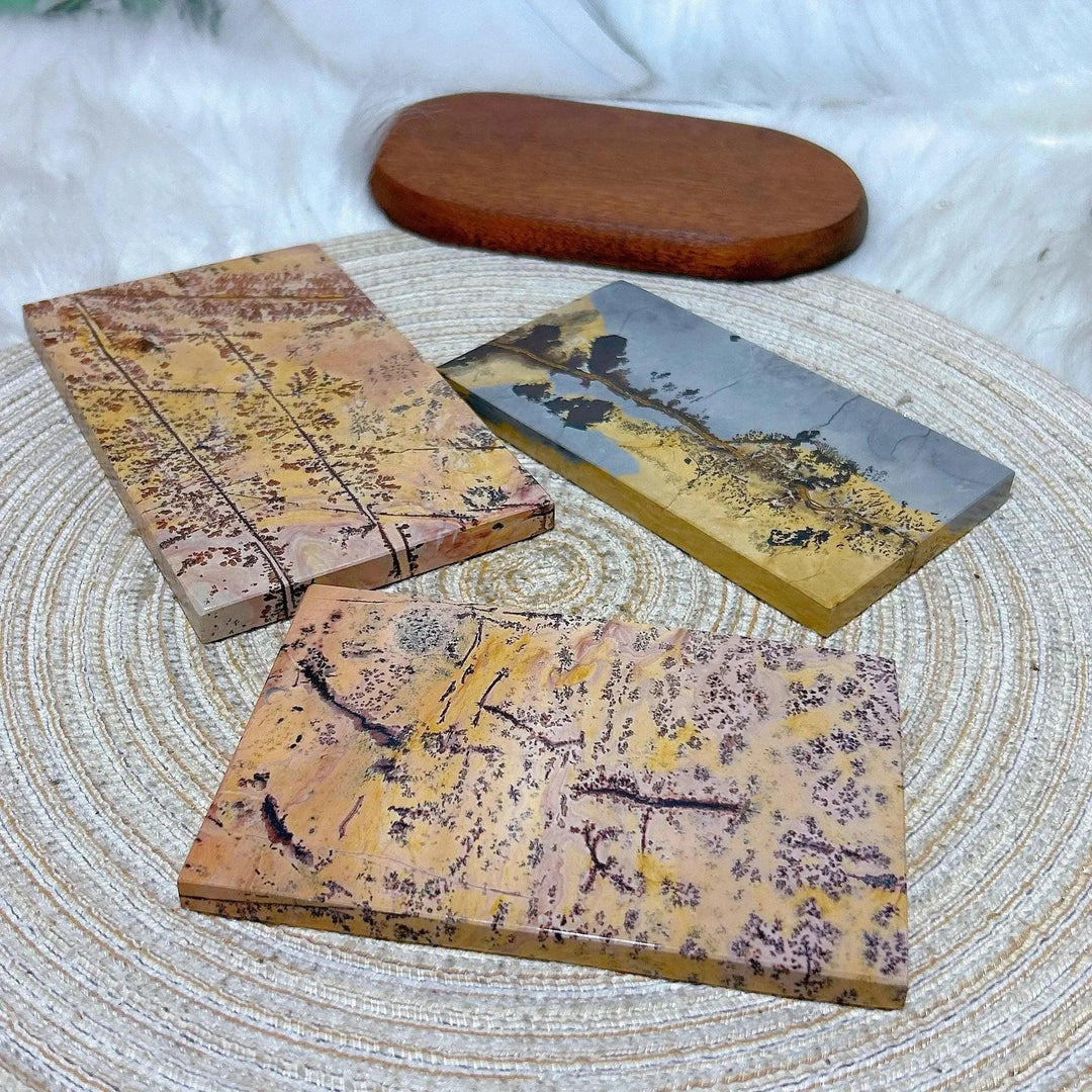 Three unique Picture Jasper crystal slabs from Crystal Destiny, showcasing earthy tones and natural landscape patterns.