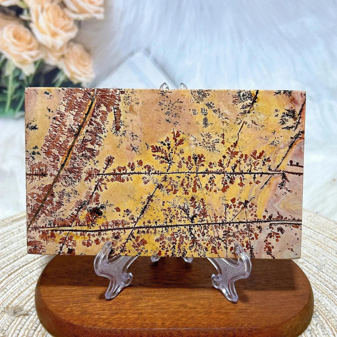 Polished Picture Jasper crystal slab from Crystal Destiny, displaying earthy yellows, browns, and black dendrite patterns.