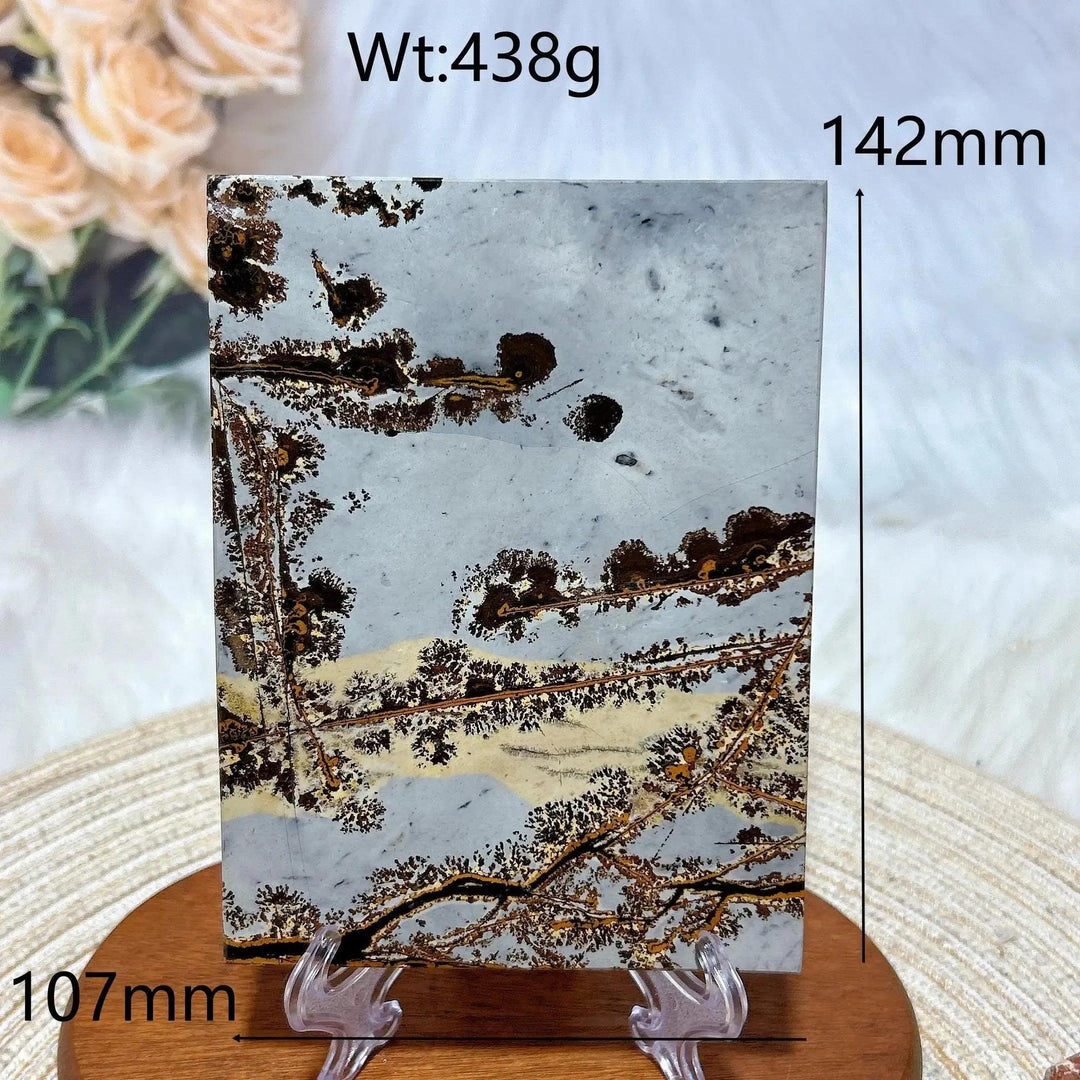 Polished Picture Jasper crystal slab from Crystal Destiny, featuring natural earthy landscape patterns in brown, cream, and gray.