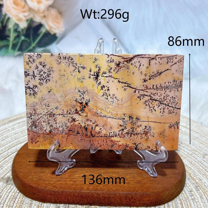 Polished Picture Jasper crystal slab from Crystal Destiny, displaying earthy tones and dendritic patterns.