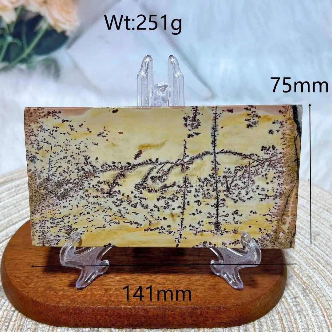 Polished Picture Jasper crystal slab from Crystal Destiny, displaying earthy tones and unique landscape patterns.