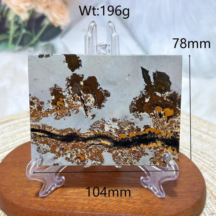 Crystal Destiny Picture Jasper slab, 196g, 104x78mm, with natural earthy landscape patterns.