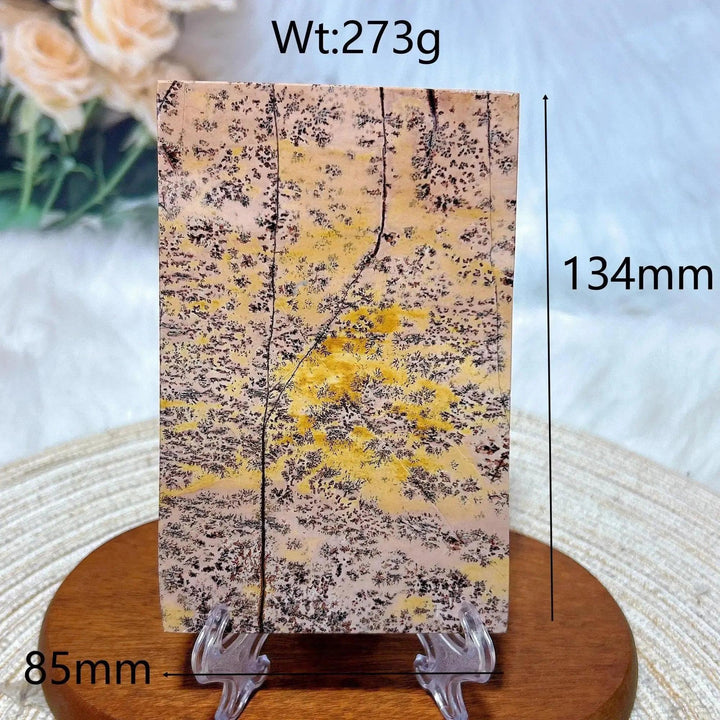 Crystal Destiny's Picture Jasper slab, 273g, 134x85mm, with earthy yellow and brown landscape patterns.