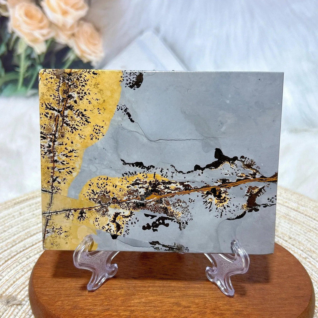 Polished Picture Jasper crystal slab from Crystal Destiny, featuring natural grey and golden-yellow landscape patterns.