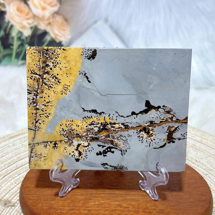 Polished Picture Jasper crystal slab from Crystal Destiny, featuring natural grey and golden-yellow landscape patterns.