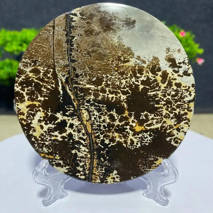 Crystal Destiny's Picture Jasper slab, a unique landscape painting stone with earthy brown, black, and white patterns.