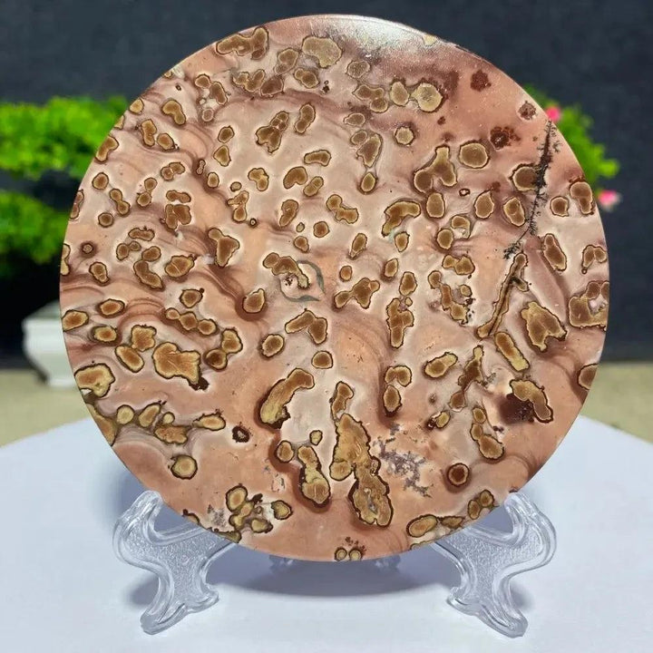Round Picture Jasper slab from Crystal Destiny, featuring unique brown and beige landscape patterns on a clear stand.
