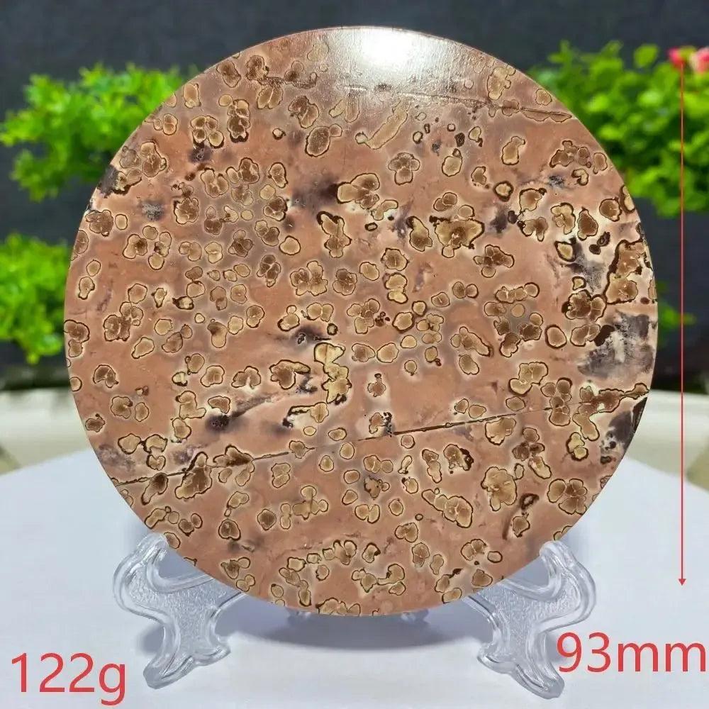 Round Picture Jasper slab, 122g, 93mm, with unique brown and beige landscape patterns, from Crystal Destiny.