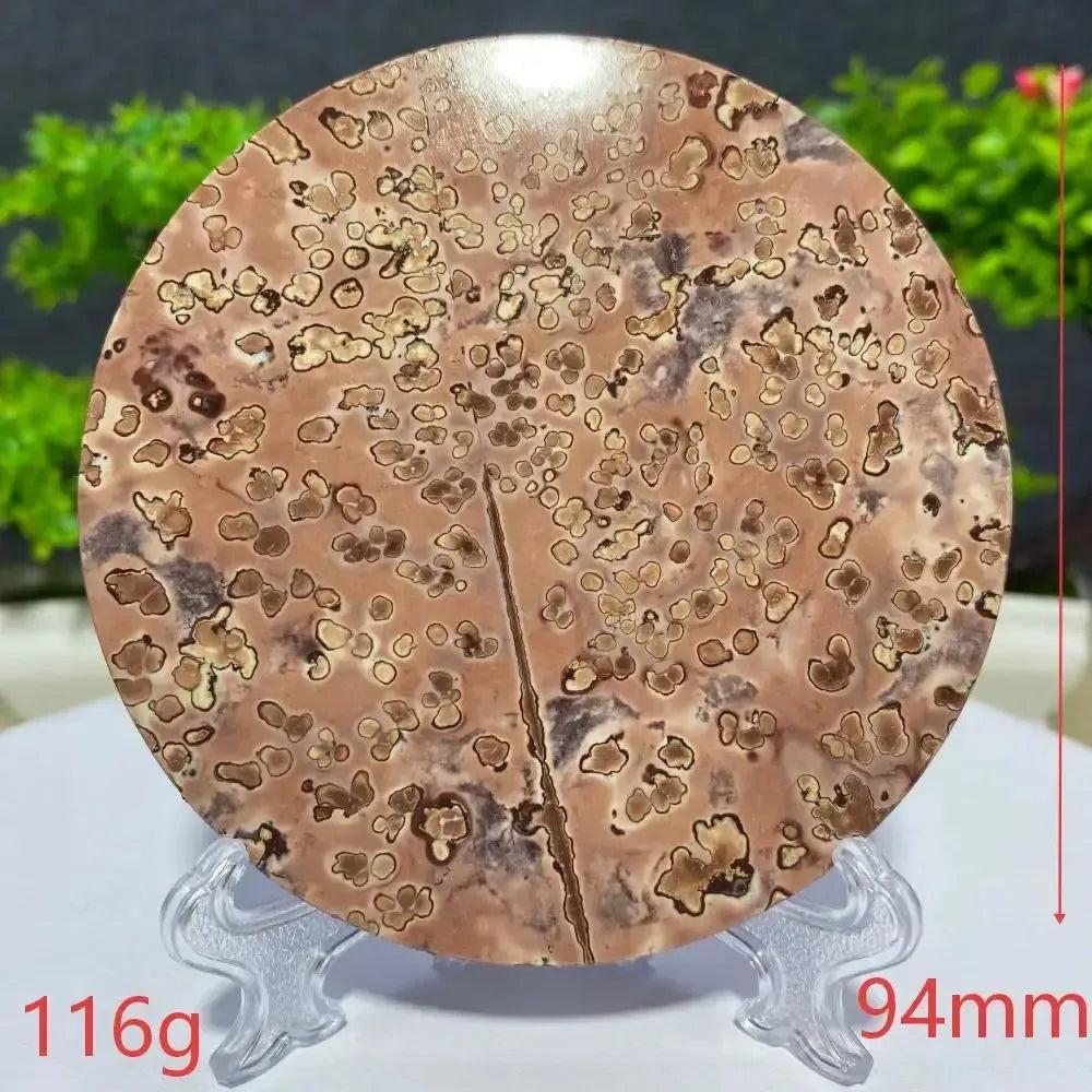 Round Picture Jasper mineral specimen from Crystal Destiny, displaying unique brown and cream landscape patterns.