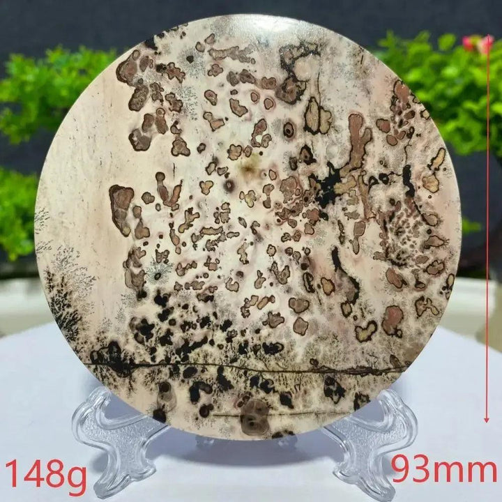 Round Picture Jasper slab with unique brown and black landscape patterns on a cream background, from Crystal Destiny.