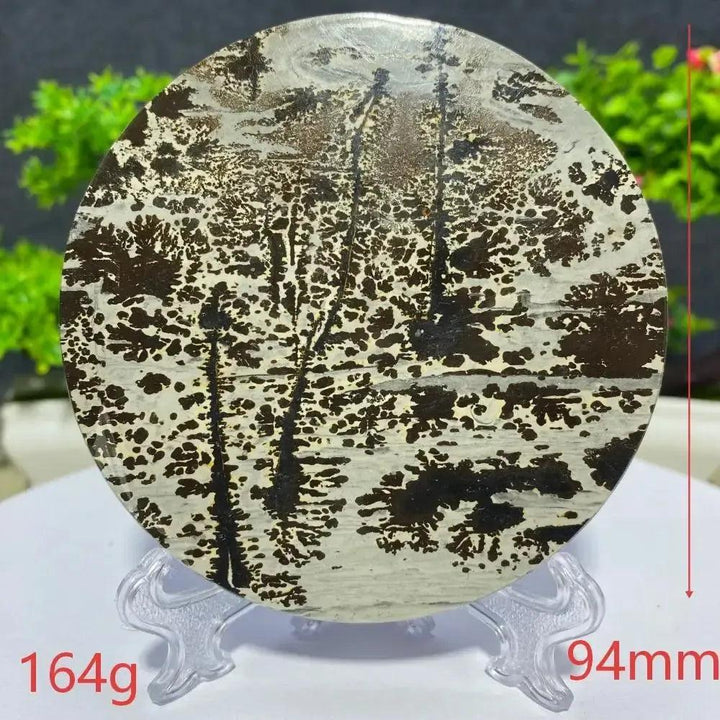 Crystal Destiny's Picture Jasper slab, 164g, 94mm, with unique black and white landscape patterns for grounding.