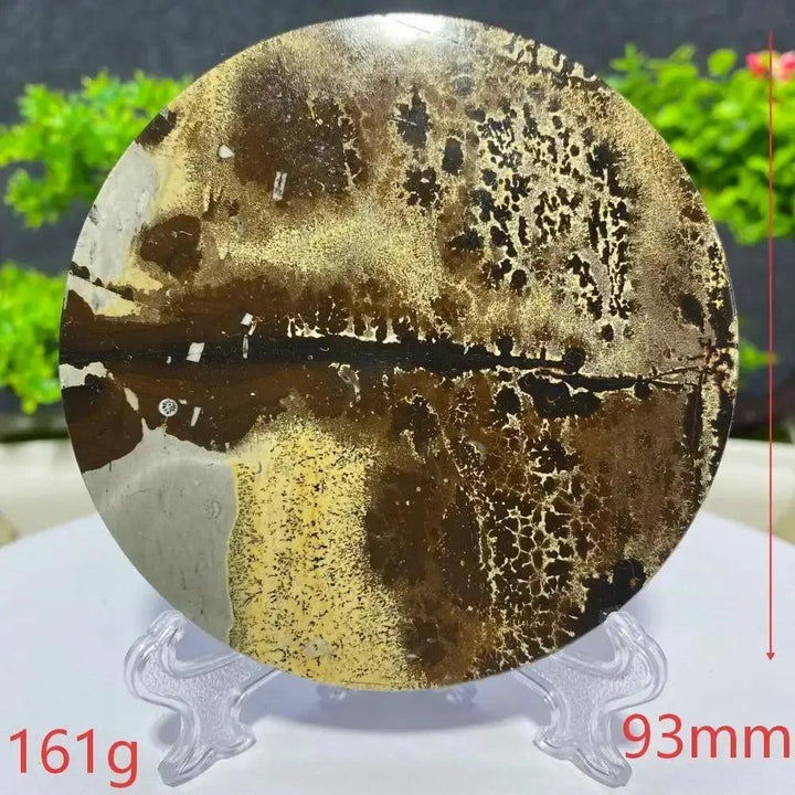 Crystal Destiny: Round Picture Jasper slab, 161g, 93mm, with natural brown, tan, and white landscape patterns.