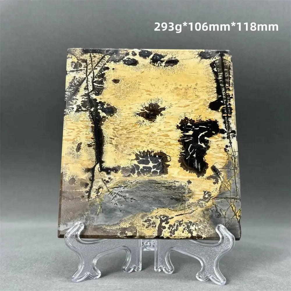 Polished Picture Jasper slice with unique landscape patterns in cream, black, and brown, displayed on a clear stand.