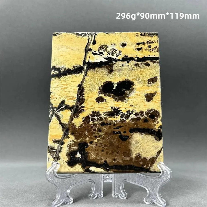 Polished Picture Jasper slice with unique cream, ochre, and brown landscape patterns on a clear stand from Crystal Destiny.