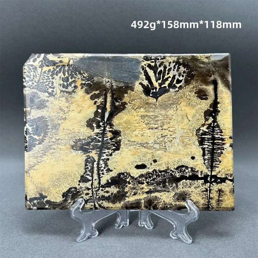 Polished Picture Jasper slice from Crystal Destiny, featuring natural landscape patterns in cream, sand, and deep brown on a clear stand.